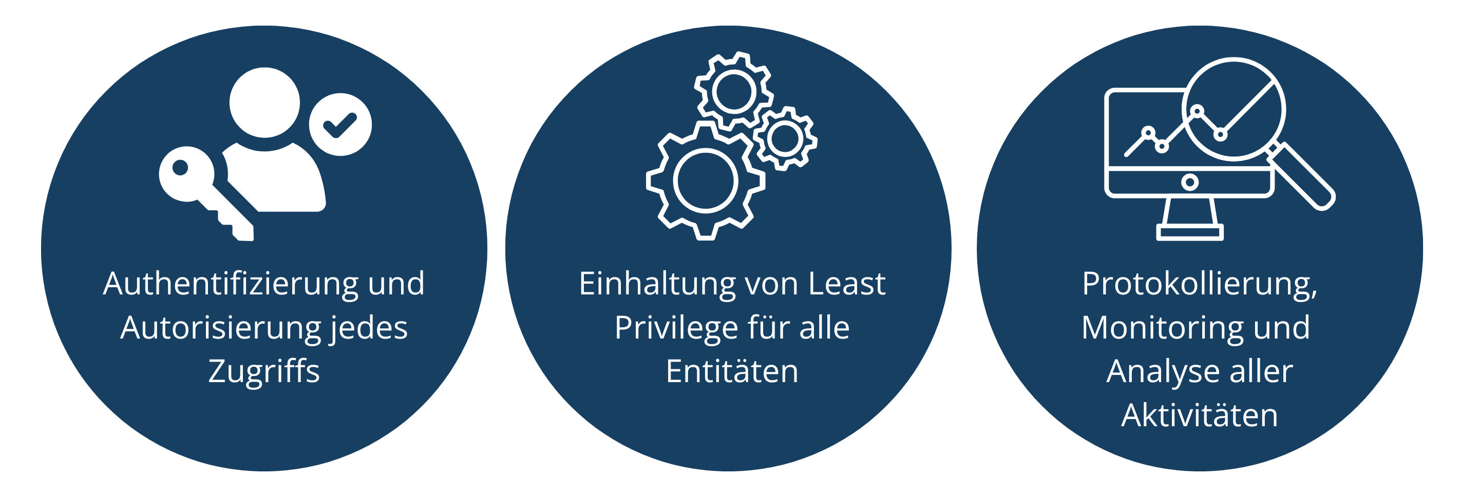 Grundprinzipien Zero Trust